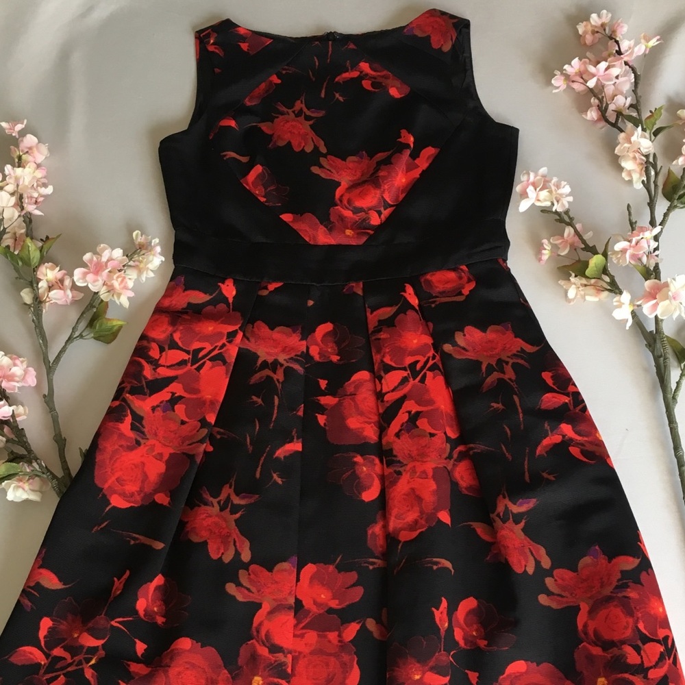 Taylor Red and Black Floral Dress 8P